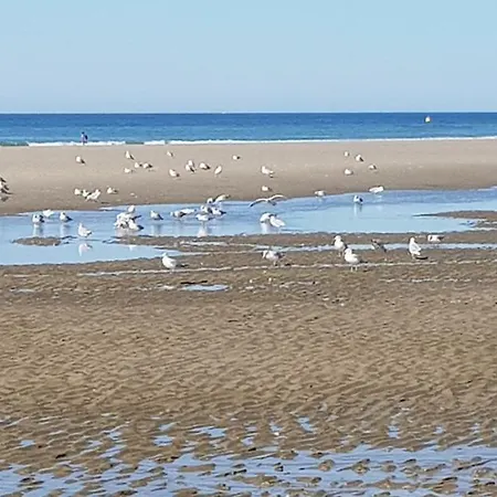 Le Trefle Berck
