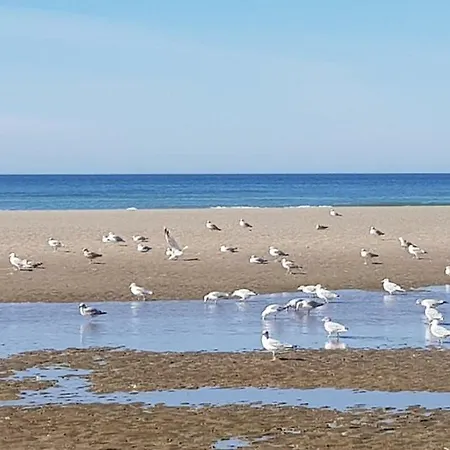 Le Trefle Berck